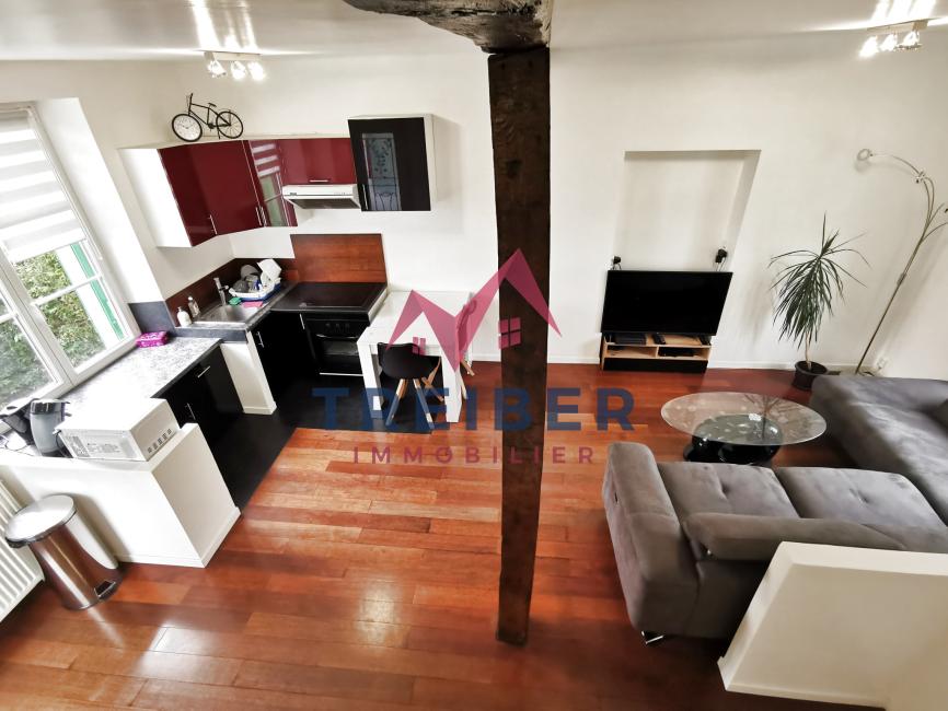 Belfort : villa 2 chambres avec Treiber immobilier