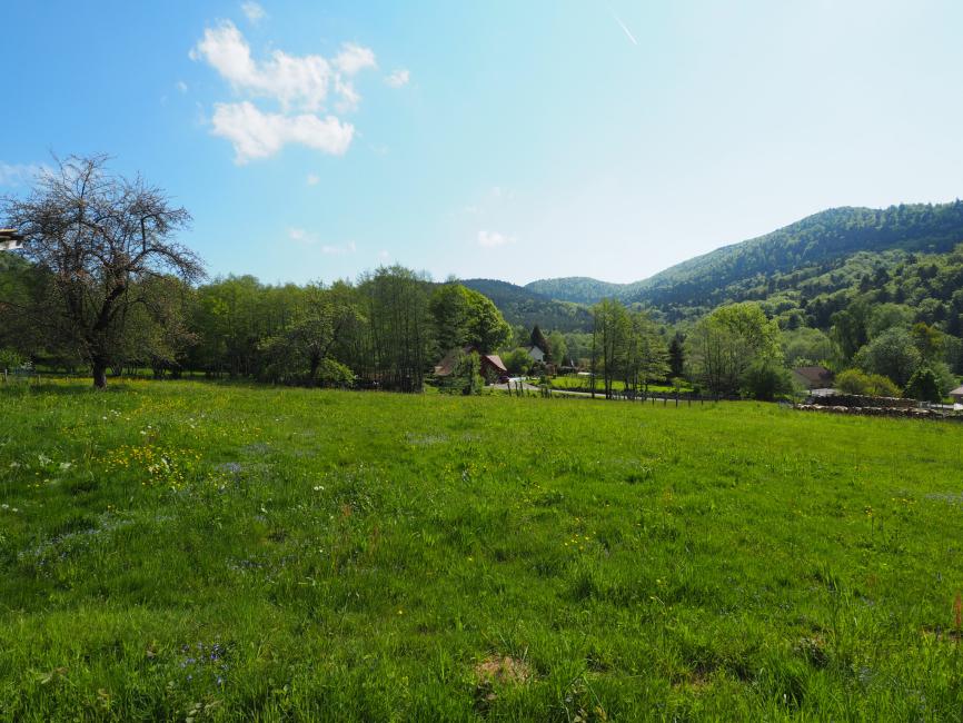 Secteur Giromagny – Superbe terrain à vendre de 4317 m2 avec jolie vue sur nature et montagnes